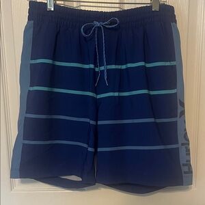 Hurley Men's Navy and Aqua Board Shorts